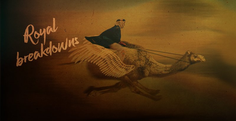 Camel