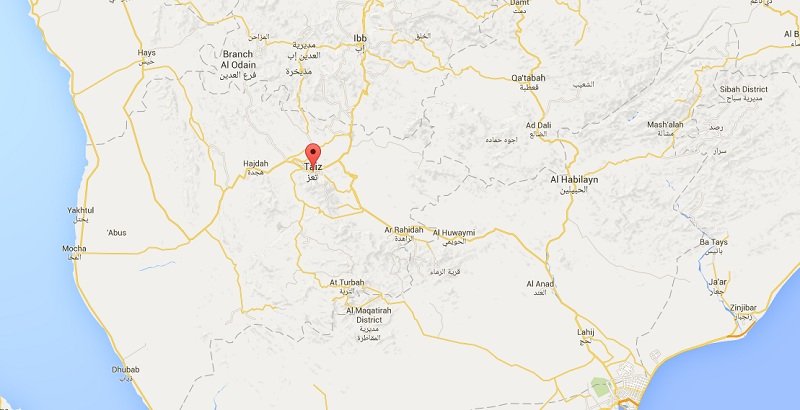 taiz new