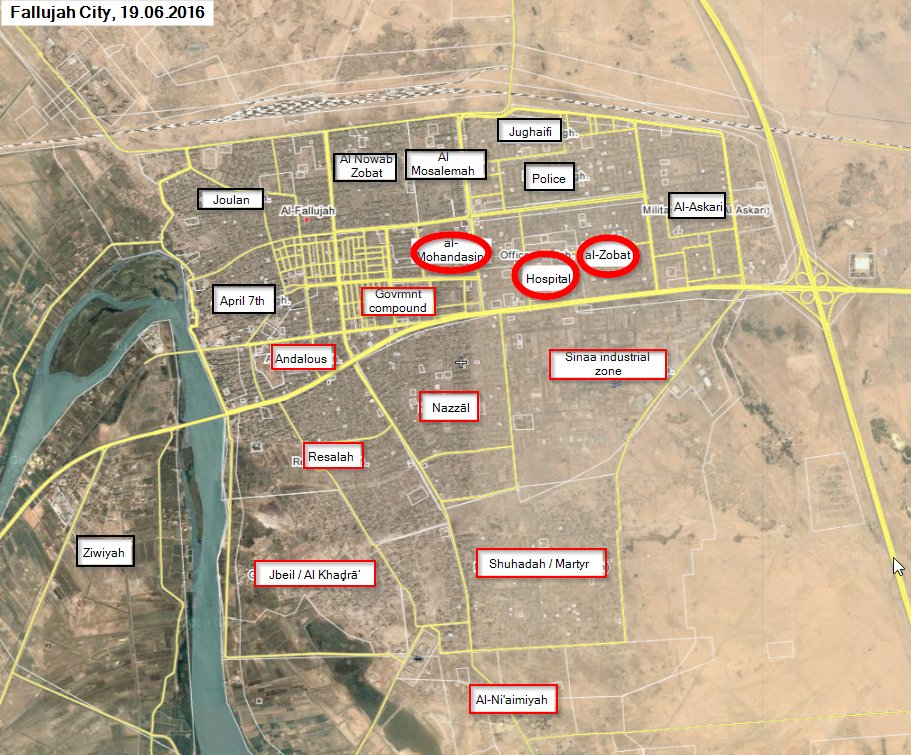 Iraqi Forces Liberate more Areas in Fallujah