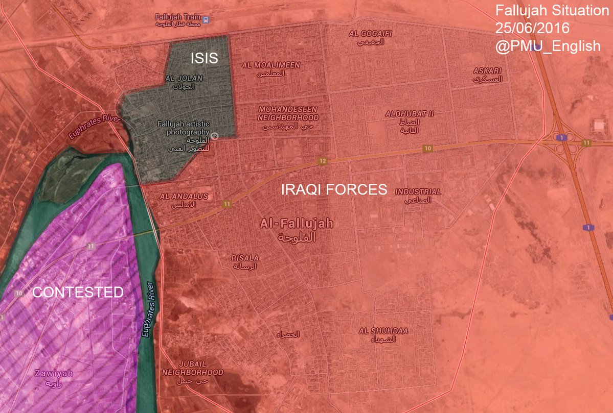 Iraqi Forces Liberated the City of Fallujah