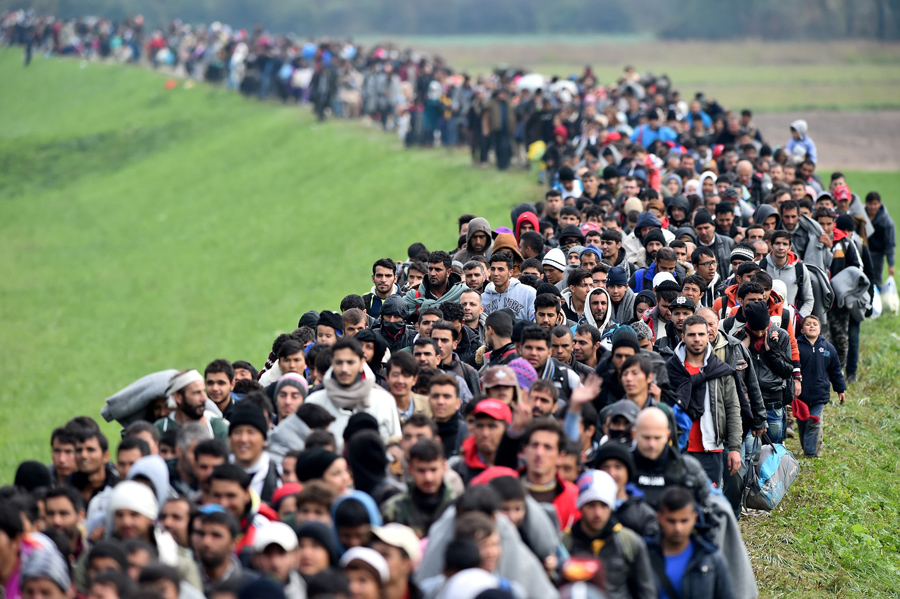 The New Challenge for the Balkans - the Intergration of the Migrants