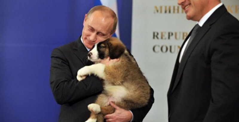 Run for your life! Actually, that may be one of those nuclear puppies…