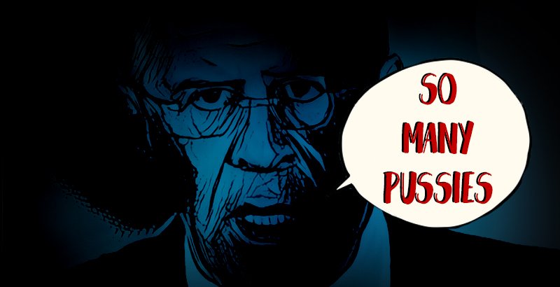 too_many_pussies_2