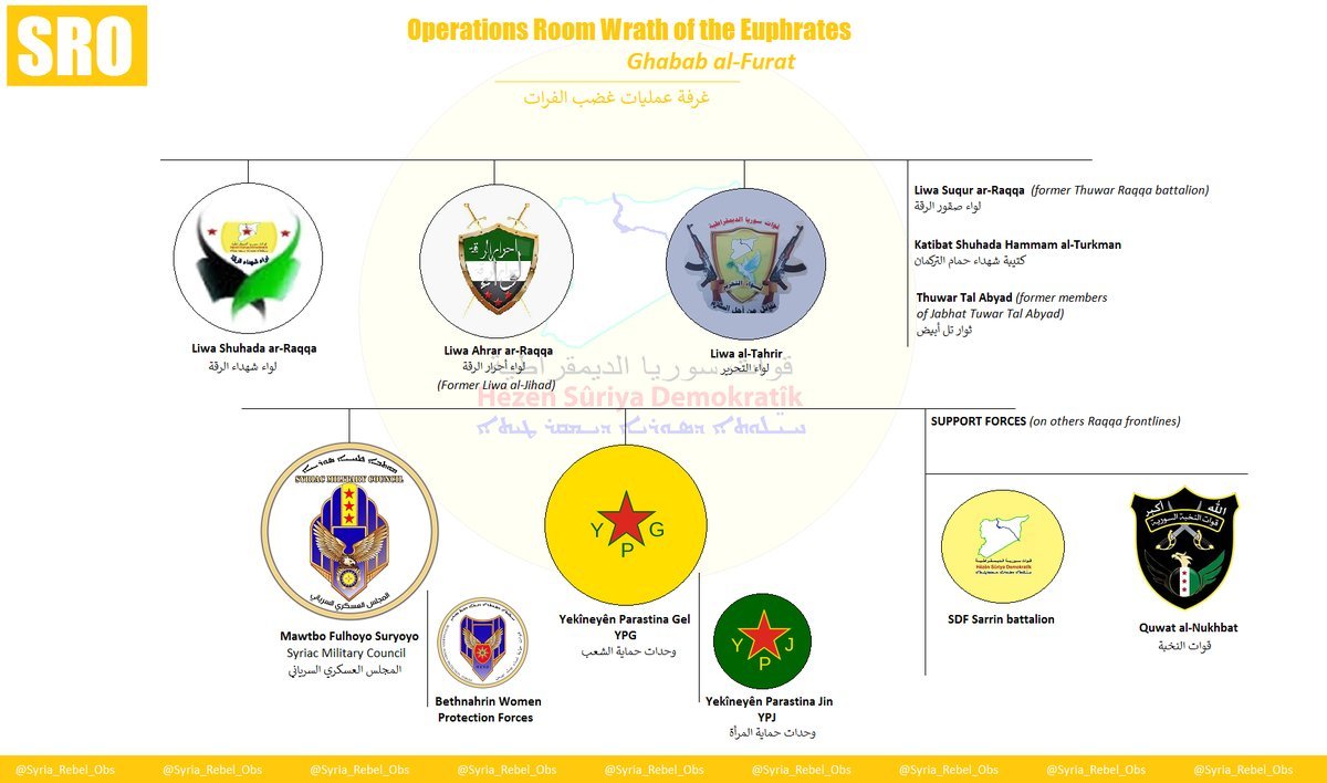 The structure of the US-backed Syrian Democratic Forces involved in the Raqqa campaign