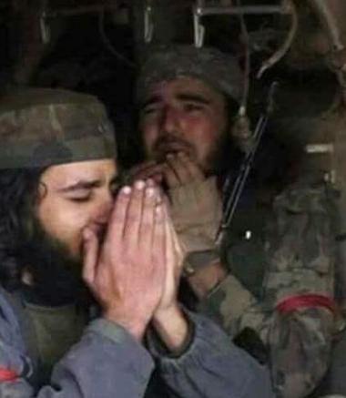 al-Qaeda hears of Clinton's defeat, haz a sad (illustrative pic)