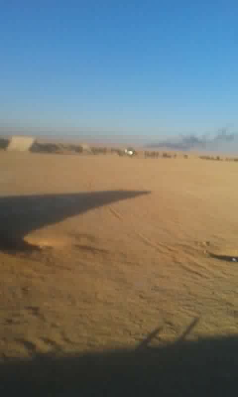 Government Troops Storming Gals Fields Near Palmyra (Photos)