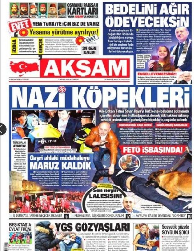 "Nazi Dogs": Turkey Prepares Sanctions Against The Netherlands