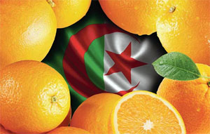 Algeria Experiencing A Few Crises In A Row