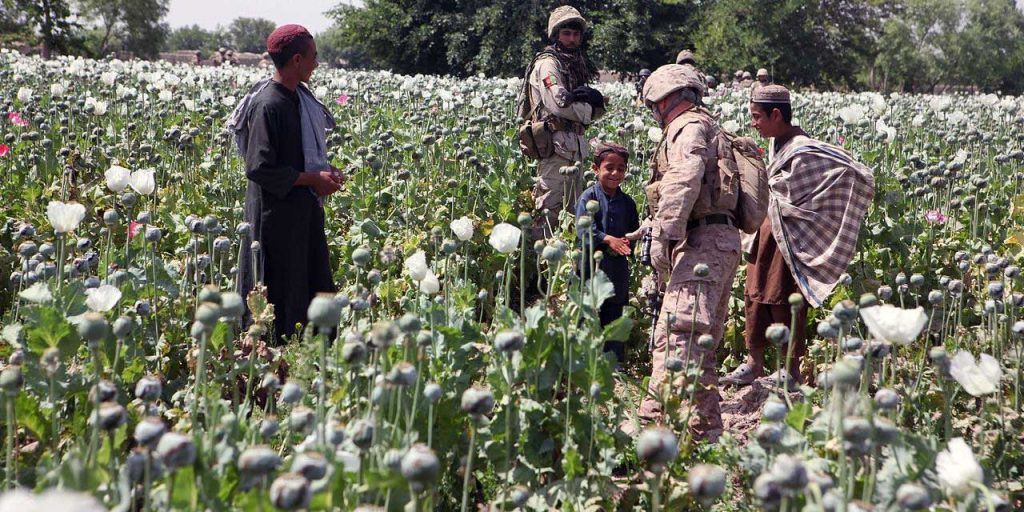 Russia Warns Of Sharp Deterioration Of Drug Situation In Afghanistan