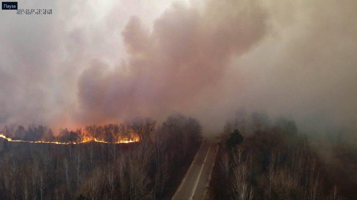 State Agency for Chernobyl Management Calls Situation Critical As Fire Edges 2Km To Nuclear Reactor