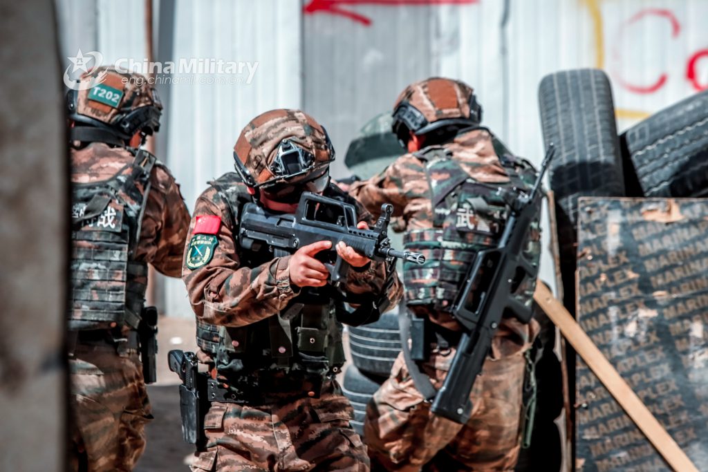 New Models Of Small Arms Of Chinese Special Forces