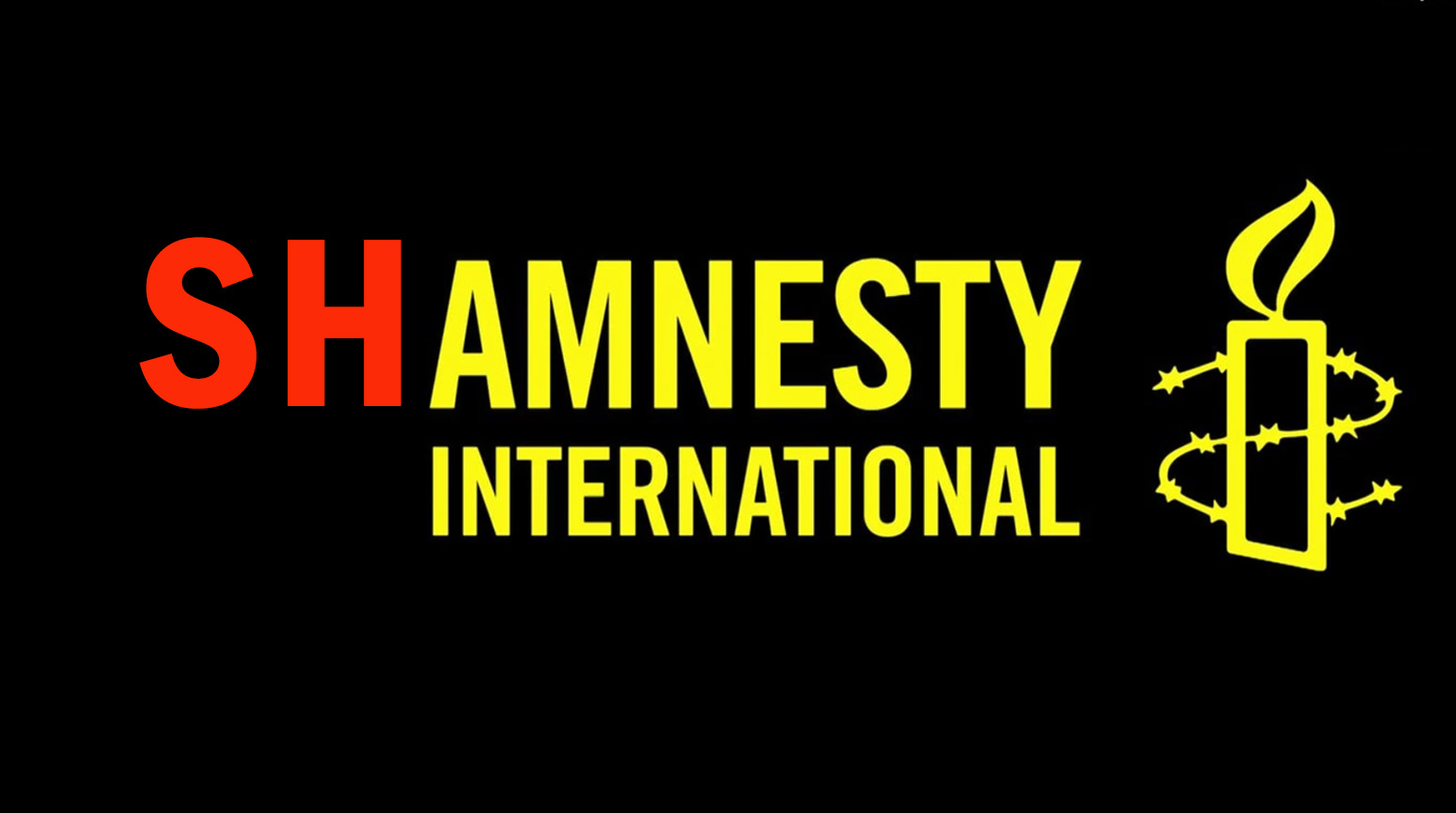 The Real Face Of Amnesty International