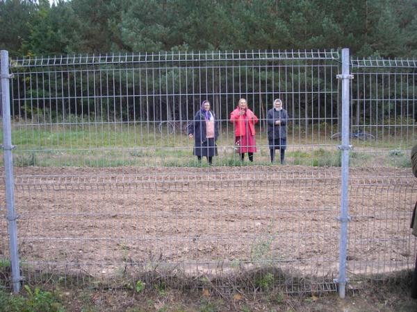 Lithuania Mulls Building Fence Along Belarus Border To Curb 'Weaponized' Migration