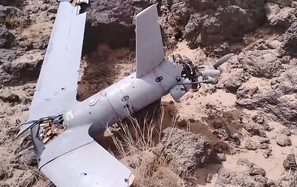 Houthis Shot Down US ScanEagle Drone Over Central Yemen
