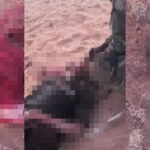 ISIS Releases Photos Of Deadly Attack On Azawad Forces In Eastern Mali