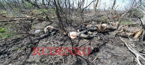 Ukrainian Officers Continue Killing Their Soldiers. Number Of Ukrainian POWs Grows (Photos 18+)